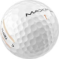 Maxfli Trifli - 1 Dozen